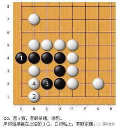 死活難點解析 圍棋 金柜角 全緊氣情況變化詳解