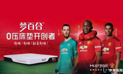 省錢攻略丨大衛&夢百合“工廠團購,品質之旅”!