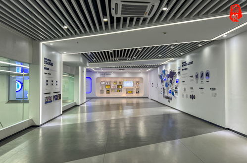 走進雷鋒故里,觀摩圍棋比賽,參觀優秀企業,觀看 天寵湖南