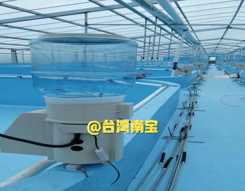 繁育池漆,培育池漆在循環水工廠化水產養殖刷漆的作用