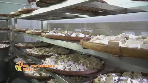 聚焦 大田賽 比賽臨近 食材供應工作有序推進