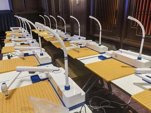 聶衛平 馬曉春在杭州和一個機器人下棋,老聶 現在圍棋ai應該比誰更 笨