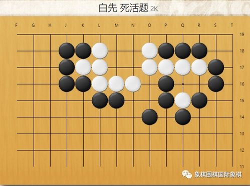 圍棋 每日一練 死活74