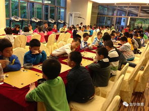 等的是你 金華市少兒圍棋集訓隊組建在即
