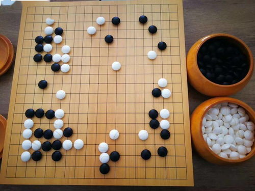 大概是我與圍棋的孽緣吧