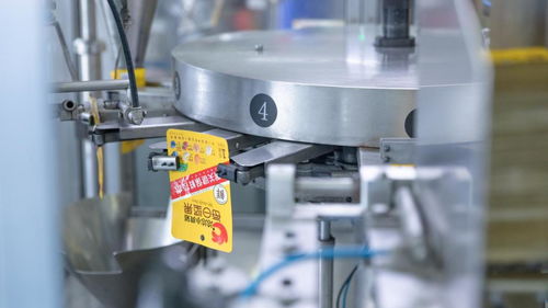 走進洽洽透明工廠,探訪一顆堅果蘊藏的新質生產力