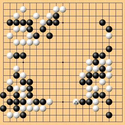 申真谞 圍棋理論須忘卻 世界冠軍徐徐圖之