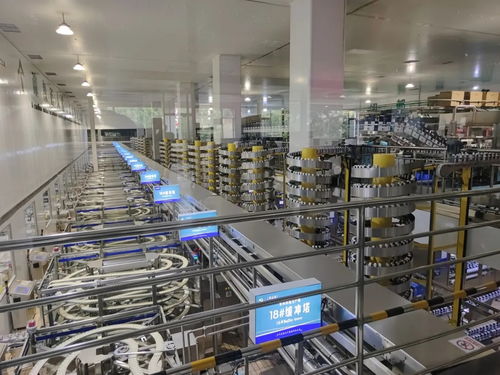 二十四節氣看蒙牛丨立秋共赴烏蘭布和之約 看沙漠有機奶源