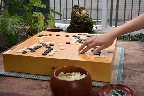 巍山 大理南詔圍棋廠開業(yè)