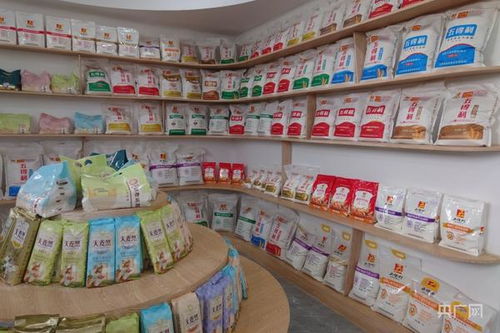 日產(chǎn)能9000噸 新鄉(xiāng)一面粉加工企業(yè)日產(chǎn)量可供近25萬(wàn)人吃一年